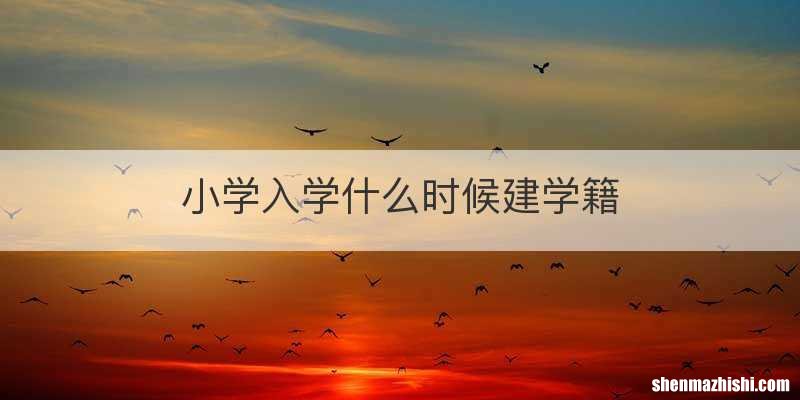 小学入学什么时候建学籍