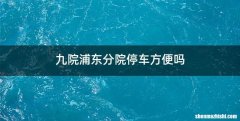 九院浦东分院停车方便吗