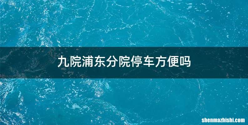 九院浦东分院停车方便吗