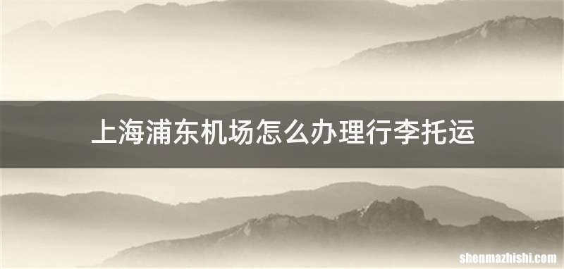 上海浦东机场怎么办理行李托运