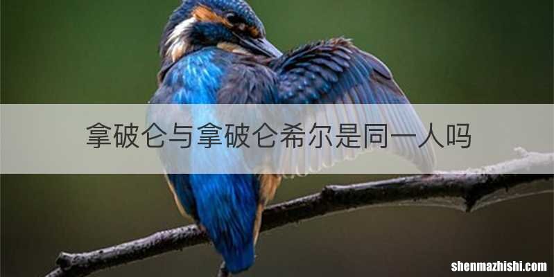 拿破仑与拿破仑希尔是同一人吗