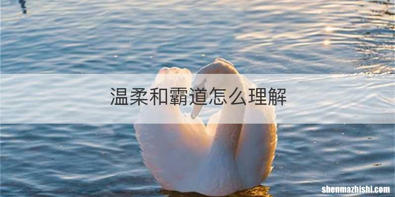 温柔和霸道怎么理解