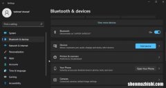 如何在Windows10和11中强制删除或卸载打印机