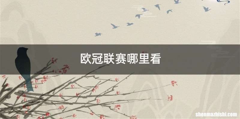 欧冠联赛哪里看