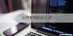 心怀梦想的近义词