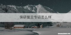 保研复旦专硕怎么样