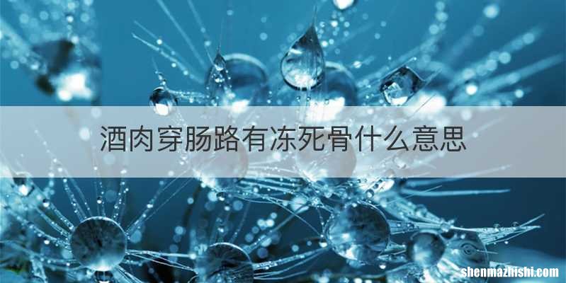 酒肉穿肠路有冻死骨什么意思