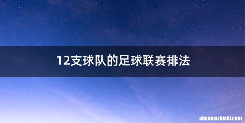 12支球队的足球联赛排法