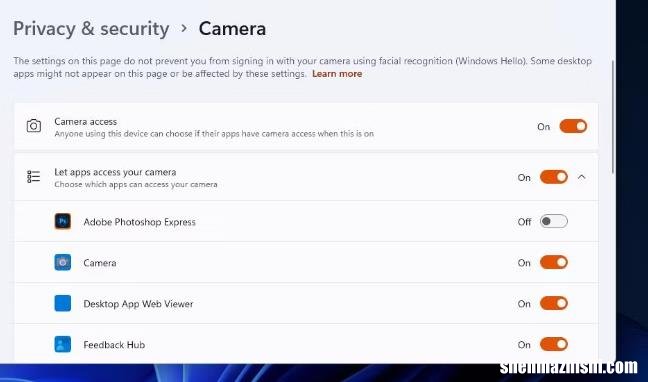 Skype无法启动？Windows11/10用户请看这里