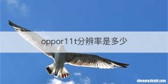 oppor11t分辨率是多少