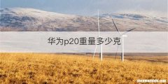 华为p20重量多少克