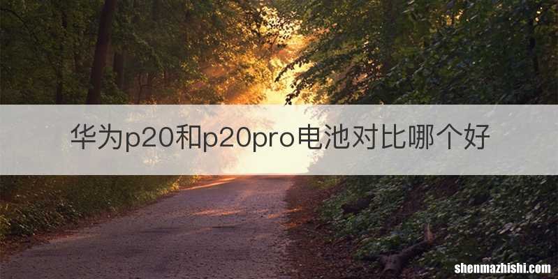 华为p20和p20pro电池对比哪个好