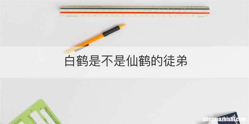 白鹤是不是仙鹤的徒弟