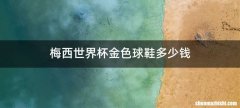 梅西世界杯金色球鞋多少钱
