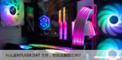 什么是NTUSER.DAT 文件，您应该删除它吗？