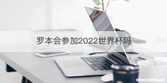 罗本会参加2022世界杯吗
