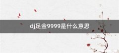 dj足金9999是什么意思