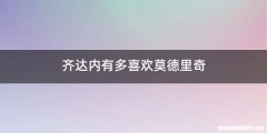 齐达内有多喜欢莫德里奇