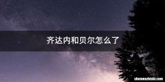 齐达内和贝尔怎么了