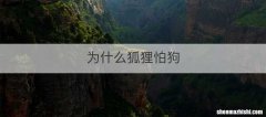 为什么狐狸怕狗