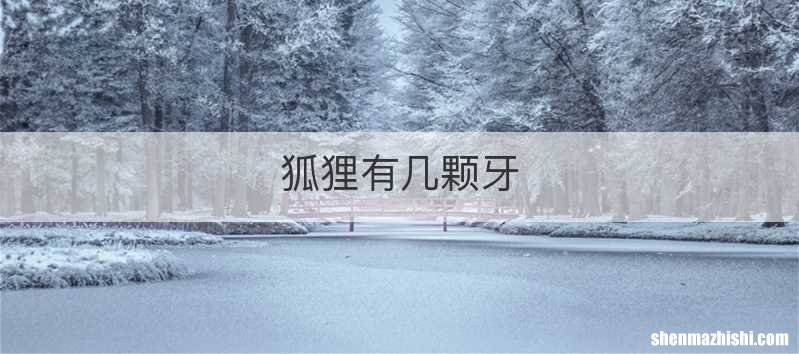 狐狸有几颗牙