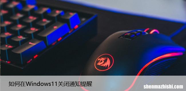 Windows11的通知提醒怎么关闭？这样设置就行