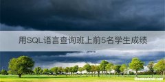 用SQL语言查询班上前5名学生成绩