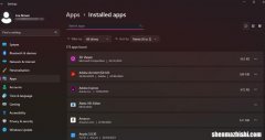 windows11使用技巧，更高效地使用Win11的7种方法