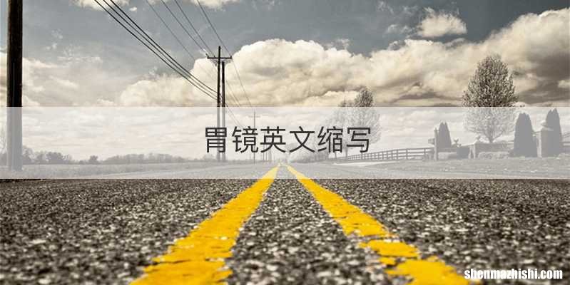 胃镜英文缩写