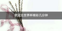 欧冠比世界杯精彩几分钟