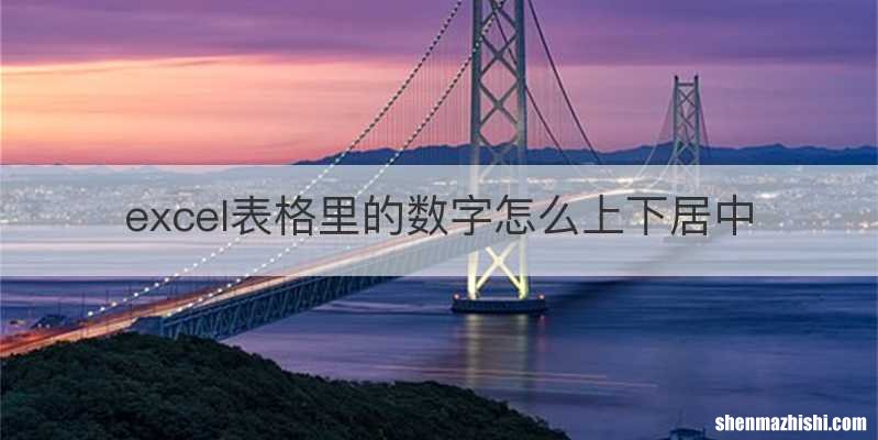 excel表格里的数字怎么上下居中