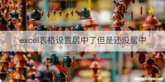 excel表格设置居中了但是还没居中