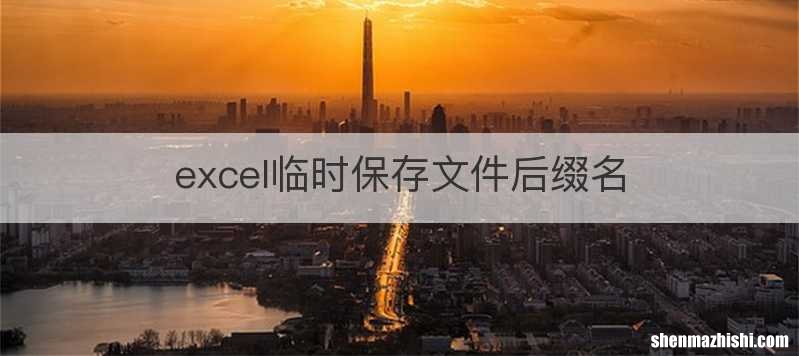 excel临时保存文件后缀名