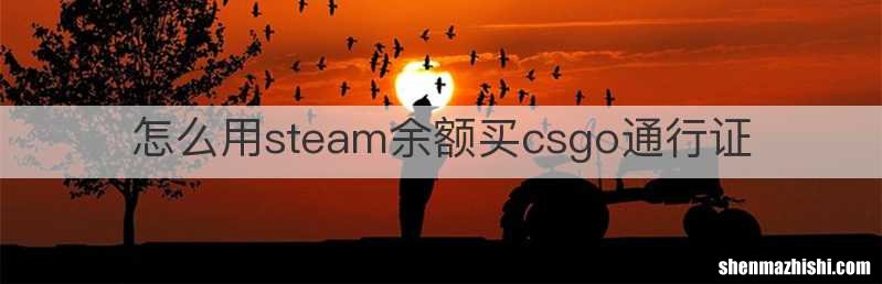 怎么用steam余额买csgo通行证