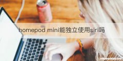 homepod mini能独立使用siri吗