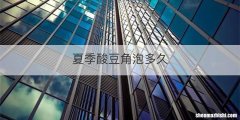 夏季酸豆角泡多久