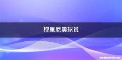 穆里尼奥球员