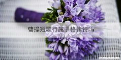 曹操短歌行属于格律诗吗