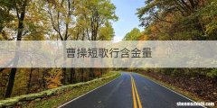 曹操短歌行含金量