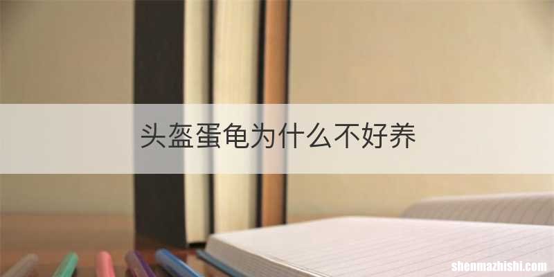 头盔蛋龟为什么不好养