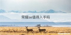 荣耀se值得入手吗
