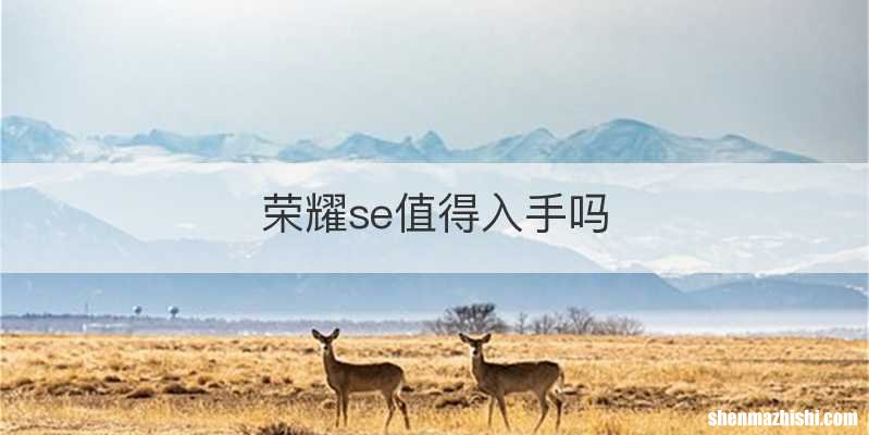 荣耀se值得入手吗