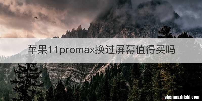 苹果11promax换过屏幕值得买吗