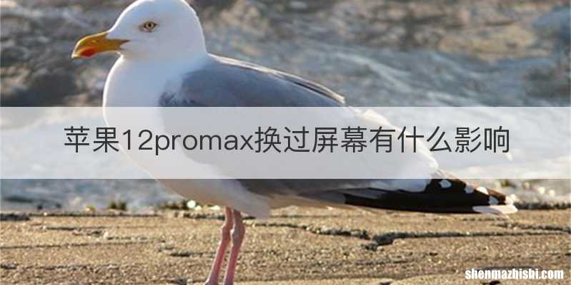 苹果12promax换过屏幕有什么影响