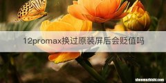 12promax换过原装屏后会贬值吗