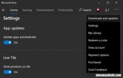 如何在Windows10中关闭自动应用程序更新