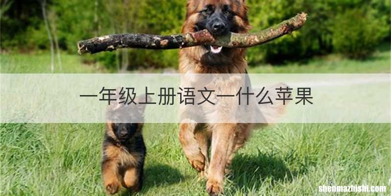 一年级上册语文一什么苹果