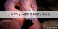小米12s pro和爱酷10哪个续航好