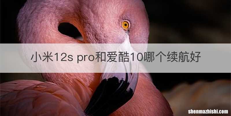 小米12s pro和爱酷10哪个续航好