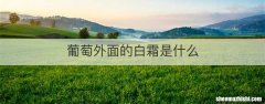 葡萄外面的白霜是什么